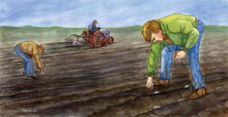 Buried Treasure Image